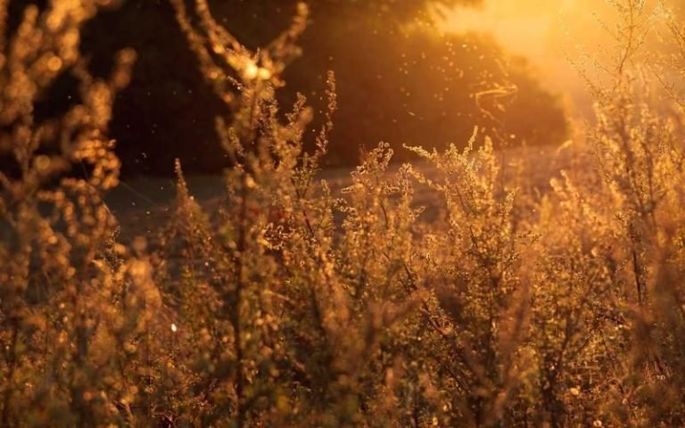 Workshop Room C [DEMO]