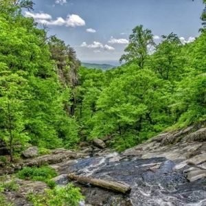 Sara El-Masry [DEMO]